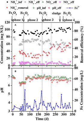 Achieving Ammonium Removal Through Anammox-Derived Feammox With Low Demand of Fe(III)